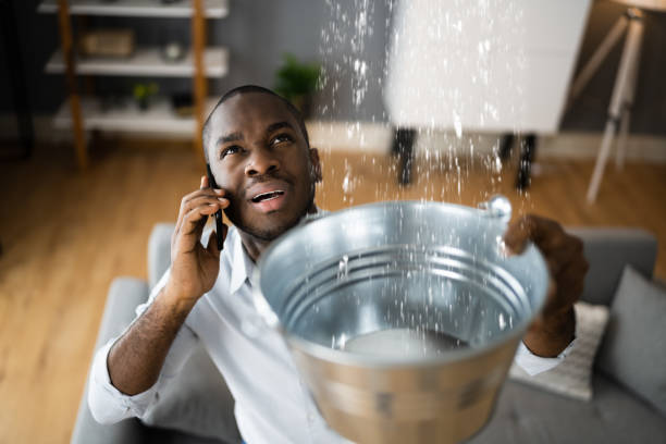 Best Residential water damage restoration  in North Miami Beach, FL