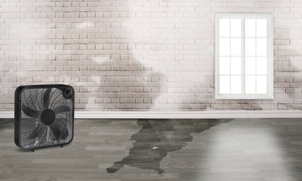 Best Flood restoration services  in North Miami Beach, FL