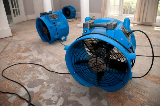 Best Sewage cleanup and water damage restoration  in North Miami Beach, FL