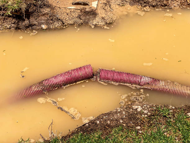 Best 24-hour water damage restoration  in North Miami Beach, FL