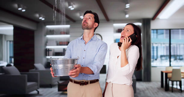 Best Water damage restoration process  in North Miami Beach, FL
